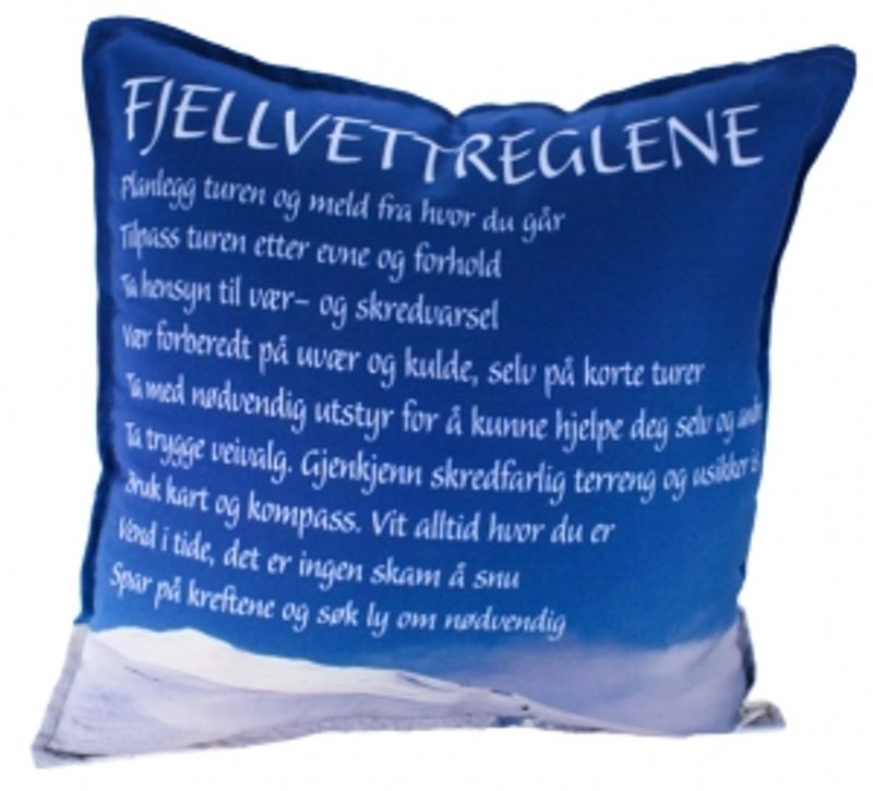Pute med fototrykk - Fjellettregler, blå