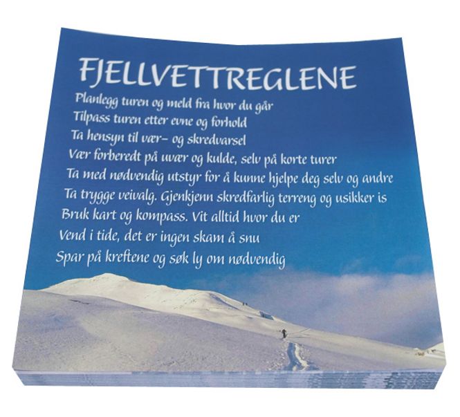 Hovedbilde SERVIETTER MED FJELLVETTREGLENE